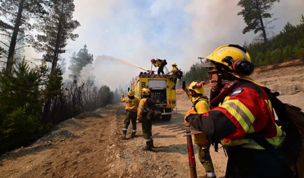 Emergencia ígnea: incendios forestales dejan a la Patagonia bajo fuego