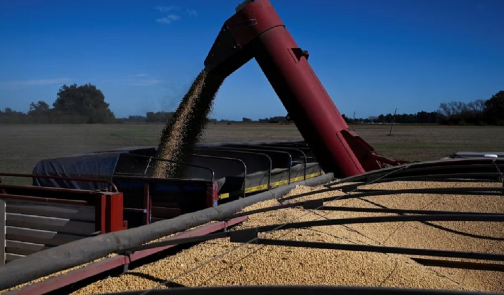 En julio proyectan liquidación récord del agro